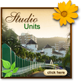 Studio Units
